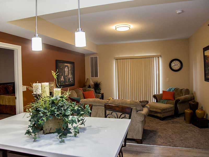 For Rent - Northern Commons Apartments in Aberdeen SD near NSU - Living Room